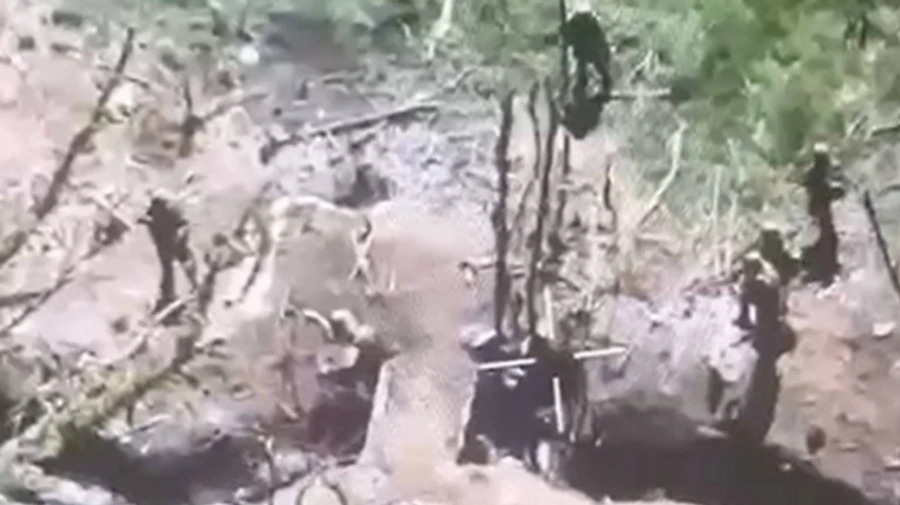 Оккупанты расстреляли трех пленных воинов ВСУ в Донецкой области