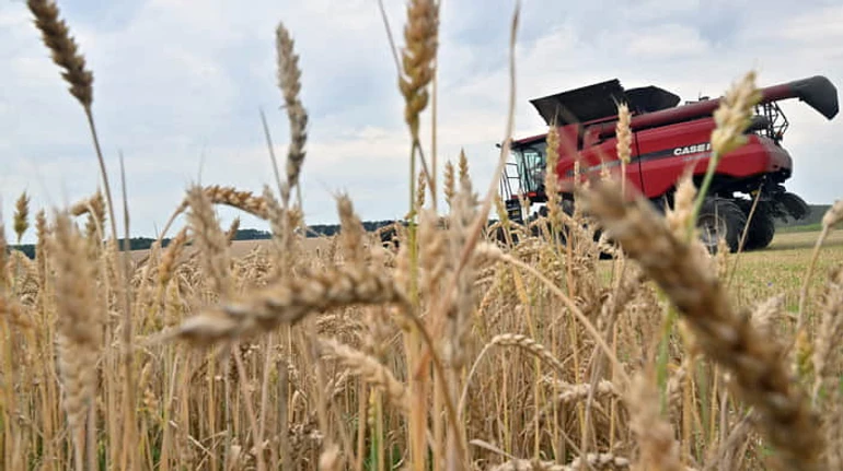 Два погляди на зернову суперечку: якими аргументами відстоюють свою позицію Україна та Польща