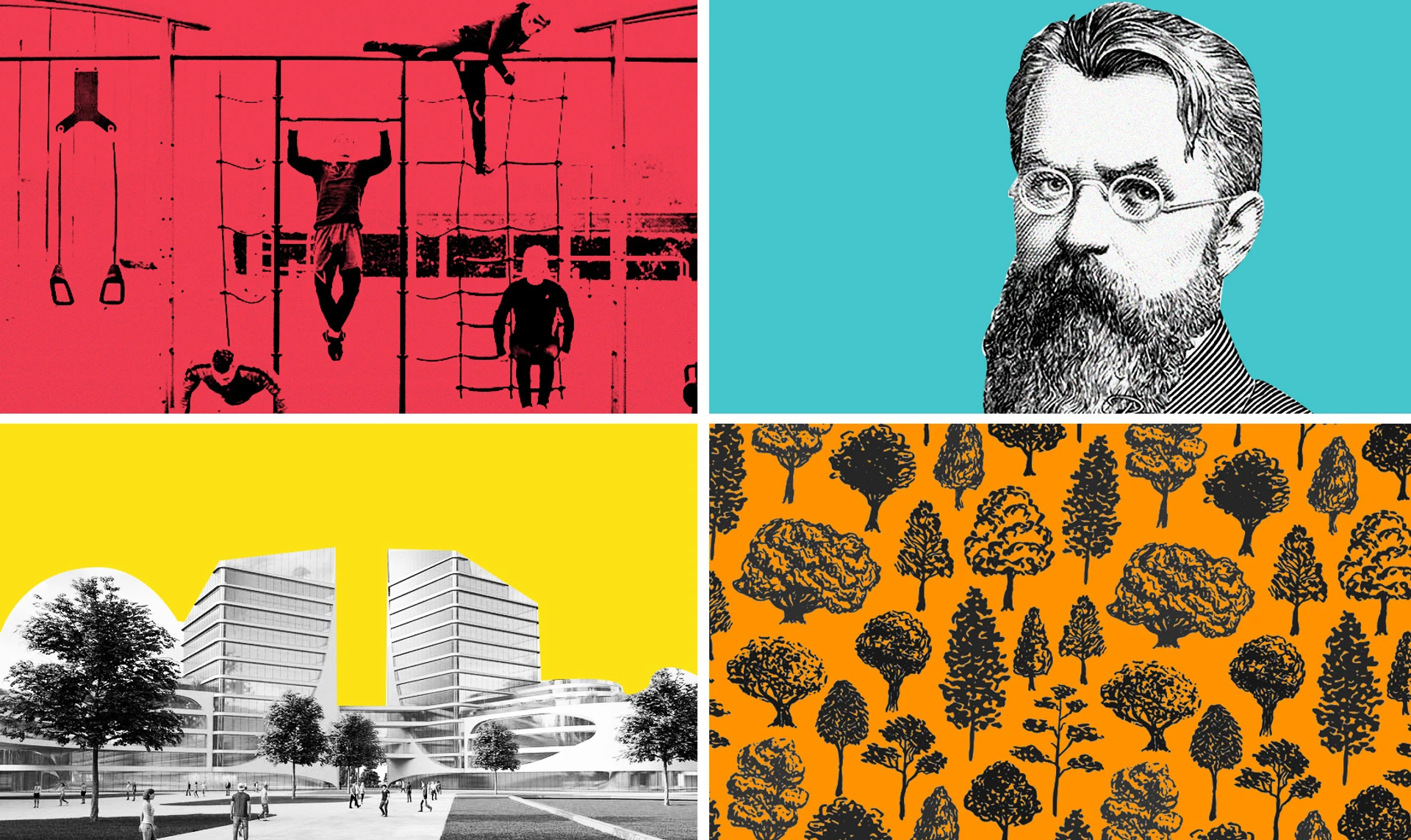 Мільярд дерев, президентський університет і Активні парки. Як виконують проєкти Зеленського