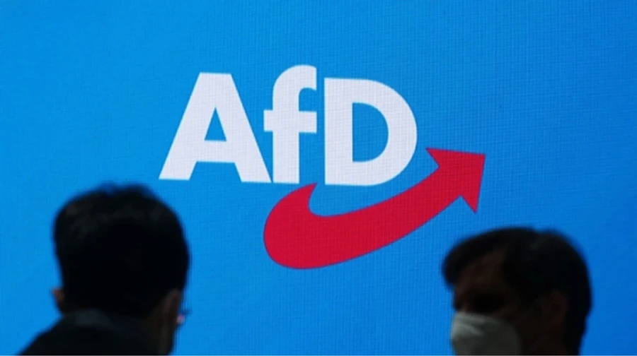 СМИ: В ЕС обеспокоены, что немецкие депутаты АдГ могут сливать РФ секретные документы