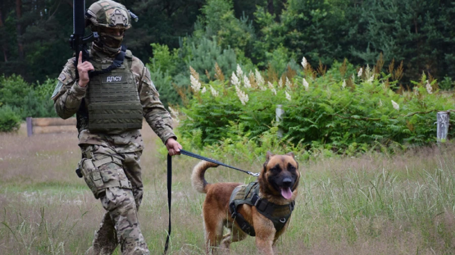 У границы с Беларусью проведут масштабные учения, а людей просят следить за чужаками