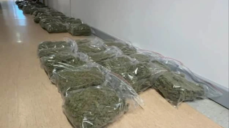 У Варшаві поліція затримала українця з понад 70 кг наркотиків і фальшивими документами