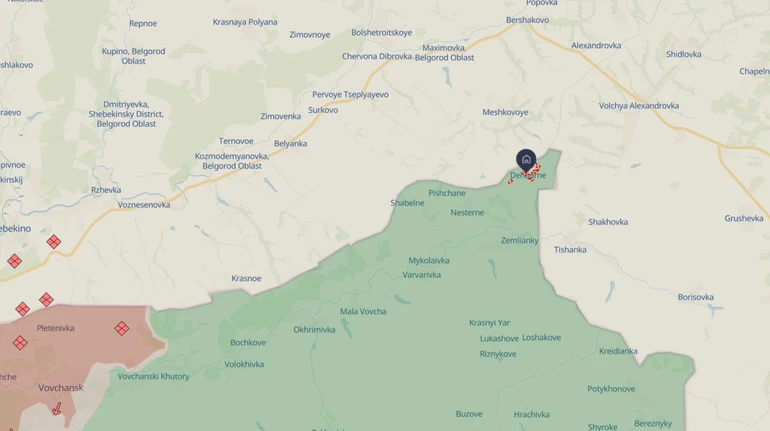 Border guards thwart Russian attempt to breach state border in Kharkiv Oblast – video