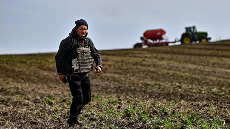 Посівна кампанія-2023: як аграрії почали сезон і чи загрожує Україні дефіцит продуктів