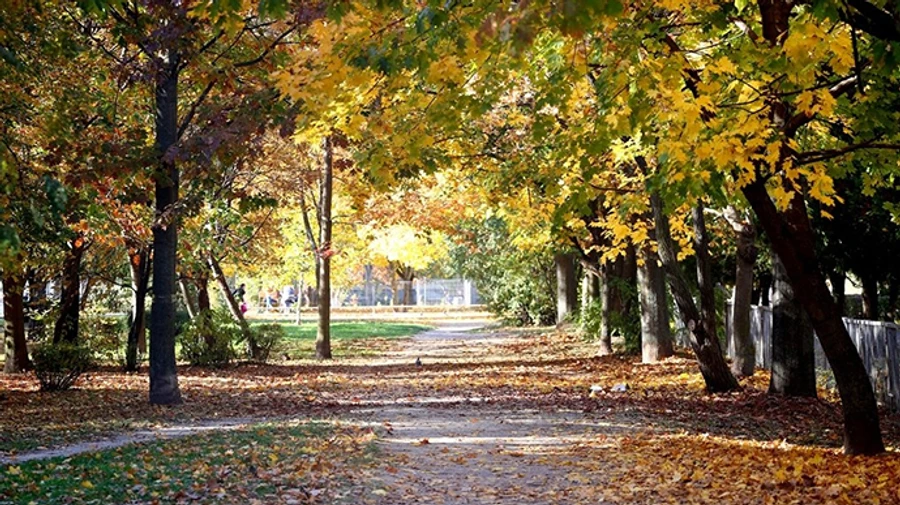 В воскресенье будет тепло: классическая осень