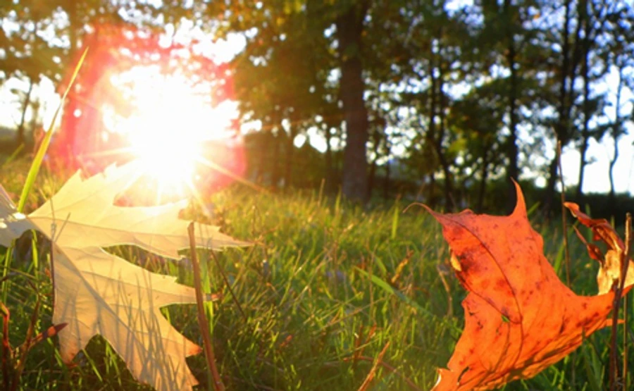 Останній день вересня мине з шаленим вітром, перший день жовтня - з сонцем
