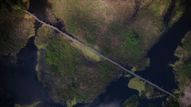 Тут колись німецький танк впав! Як виглядає найдовший дерев'яний міст України у Каплинцях 