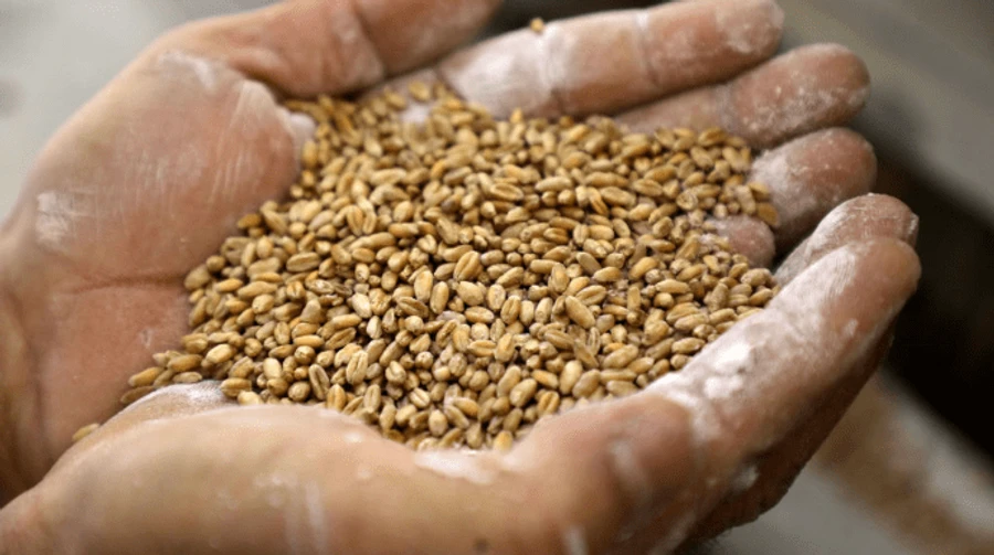 Russia denies earlier announcements about taking grain from occupied territories of Ukraine