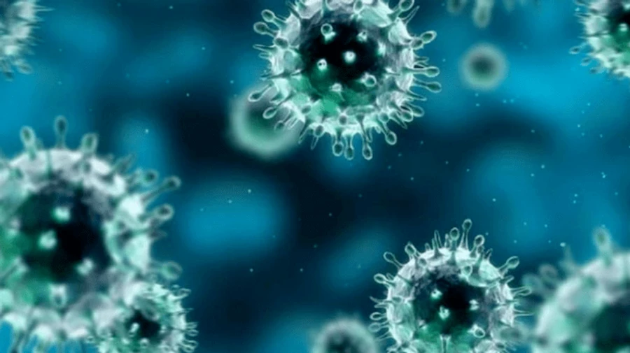 В мире за сутки зафиксировали меньше всего смертей от COVID-19 за четыре месяца