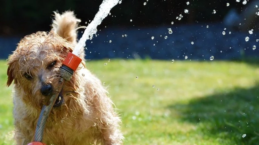 Синоптики розповіли, коли в Україну повернеться спека