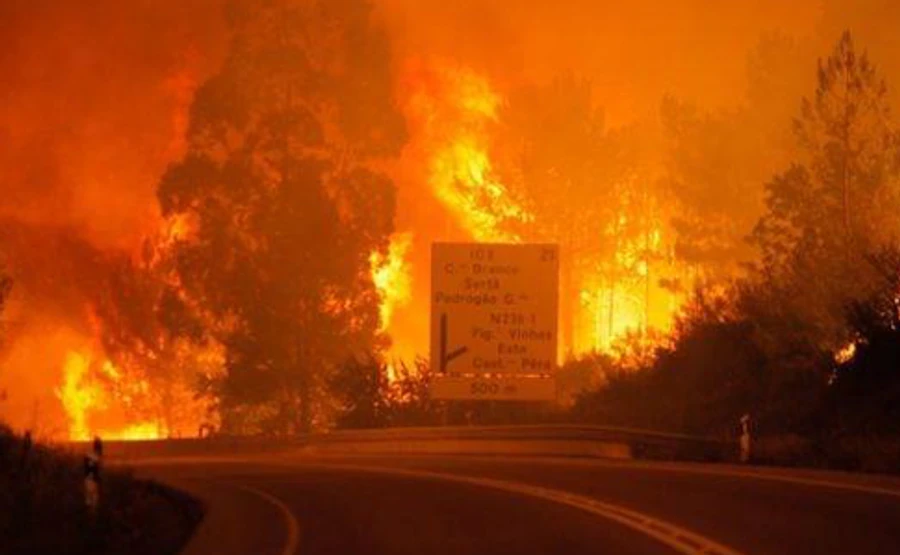 Португалія: Українцям радять утриматися від візитів до лісової місцевості