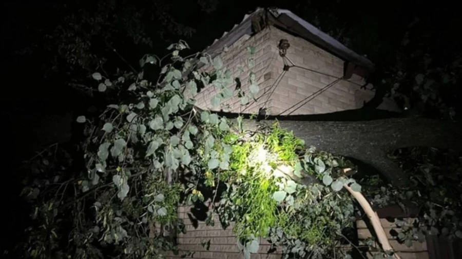 Через 3 дні після буревію на Харківщині повністю відновили електропостачання