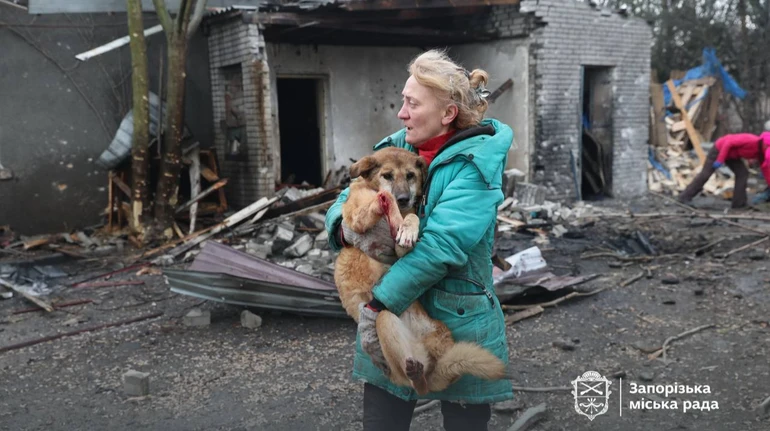 Жахливий терор: РФ атакувала притулок для собак у Запоріжжі, є загиблі та поранені тварини