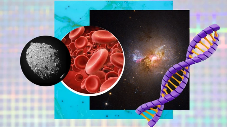 Десять чрезвычайных научных открытий человечества в 2022 году