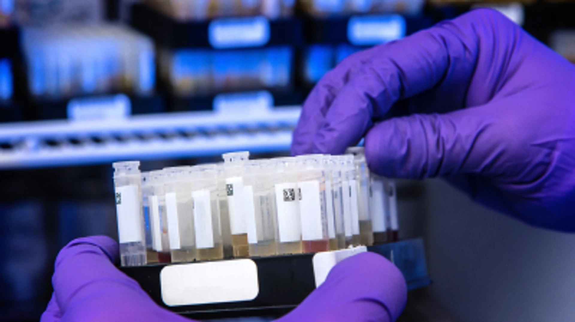 На основі негативного ПЛР-тесту з лабораторії Нова діагностика можна згенерувати COVID-сертифікат у Дії