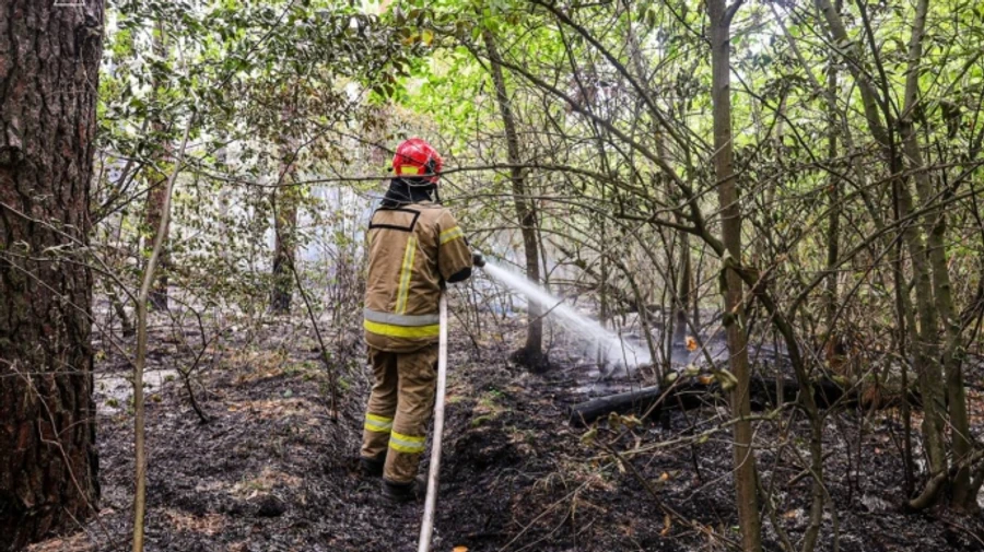 В Харьковской области горит более 100 га леса