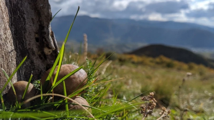 У п'ятницю синоптики прогнозують нічну прохолоду і хмарний день 