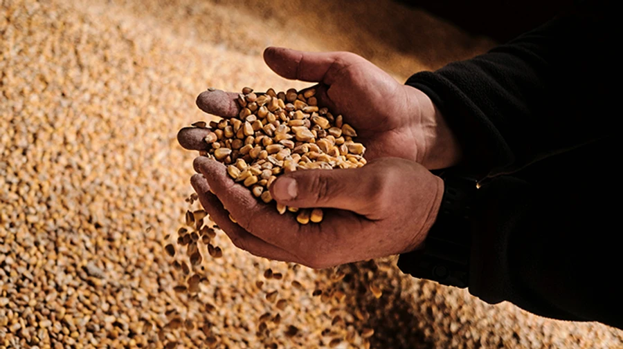 Ministry of Reconstruction denies grain corridor suspension