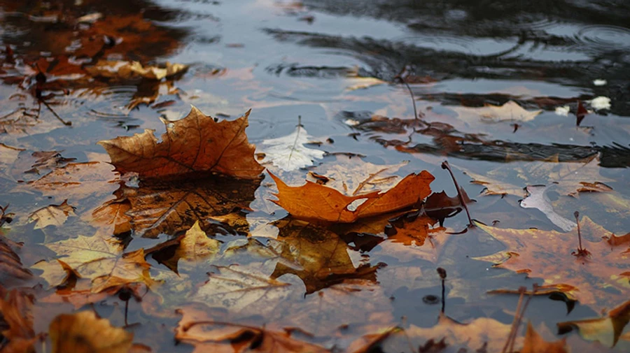 В Украину идут дожди