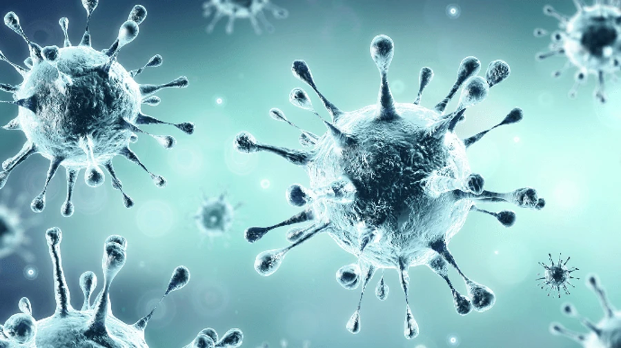 Критическая точка пандемии: в Европе миллион человек умерли от COVID-19 