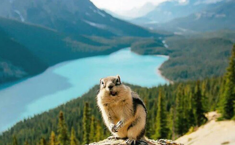 Правительство создало группу по преодолению последствий изменения климата