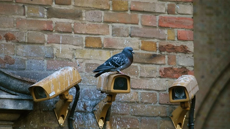 Russian occupation regime ramps up efforts to find unreliables in Crimea