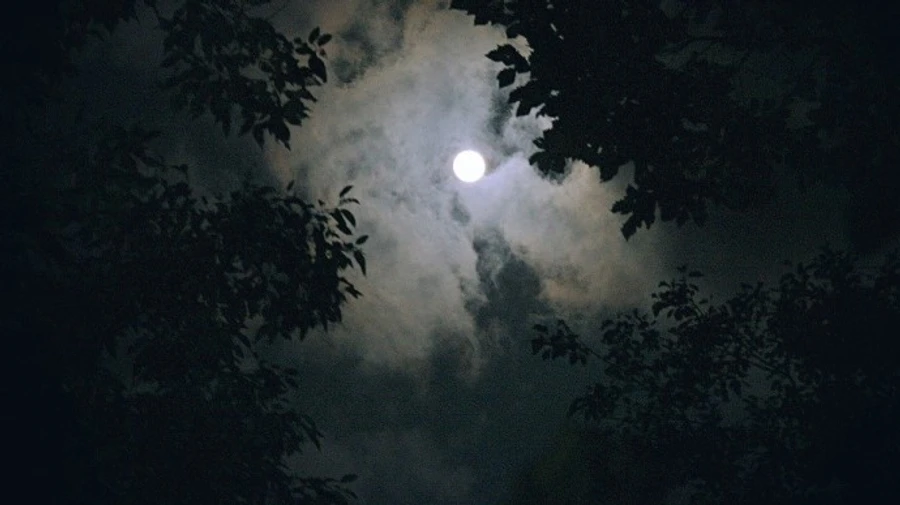 Ніч на 22 жовтня у Києві стала найтеплішою за майже півтора століття