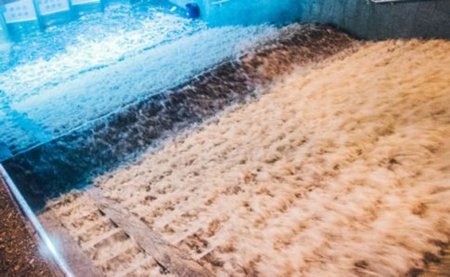 Після Києва грози з сильним вітром і град ідуть далі