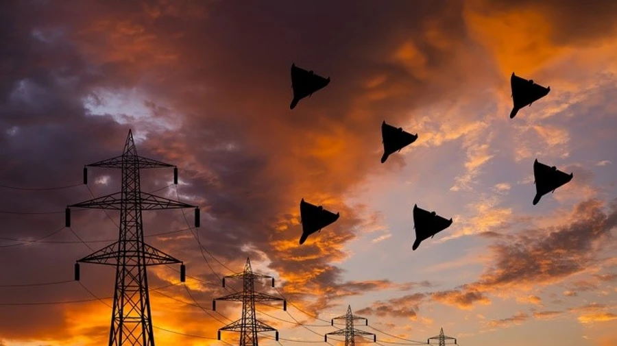 В Украине было несколько групп российских ударных дронов – Воздушные силы