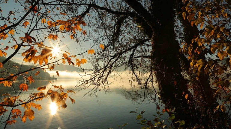 Жовтень став найтеплішим у світі за всю історію спостережень − ВМО