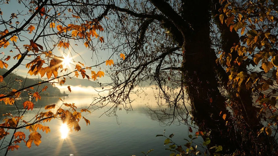 Октябрь стал самым теплым в мире за всю историю наблюдений − ВМО