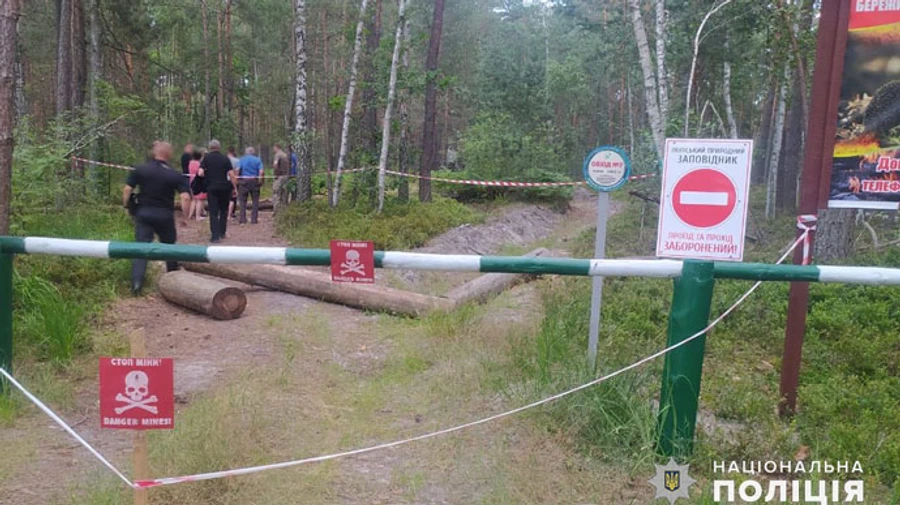 На Житомирщине в лесу погиб мужчина: поехал по чернику на заминированную территорию 