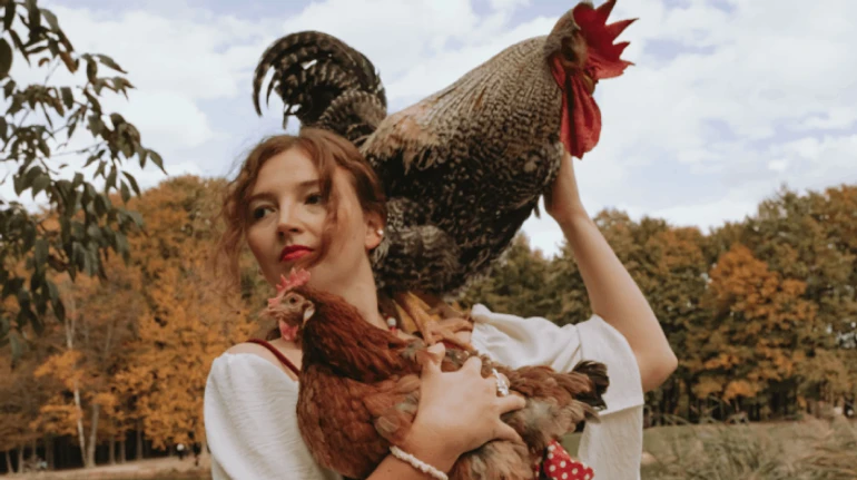 Они - моя доза пернатого кайфа. Как это - жить с курицей и петухом в квартире