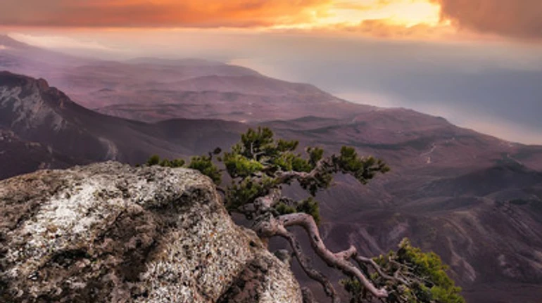 Лелеем воспоминания о Крыме: 5 чувственных историй о полуострове, который обязательно будет возвращено