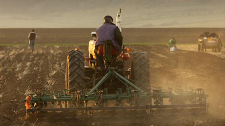 Протесты, самоубийства и тонны выброшенной продукции. Поддерживает ли государство фермеров?