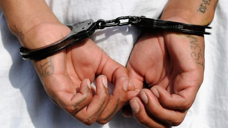 В Чехии задержаны члены преступной группы Луганская бригада