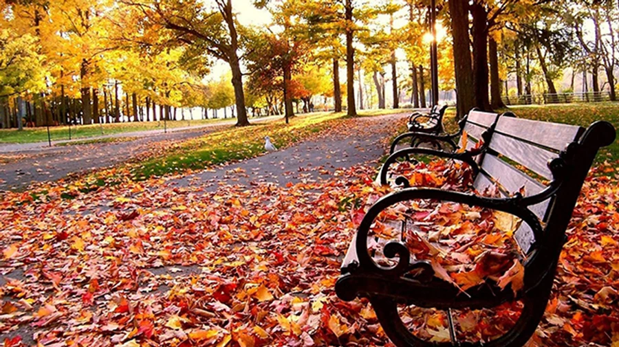 В воскресенье в Украине прохладно, но днем без осадков