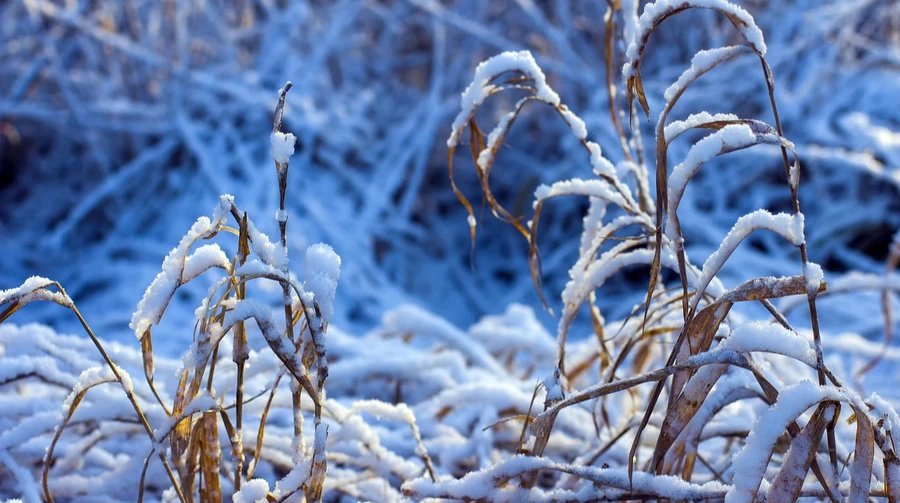 Fog, rain and sleet - the weather for 3 days