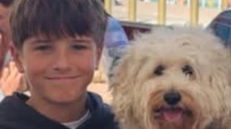 В Австралії помер 12-річний хлопчик, на якого на пляжі напала акула