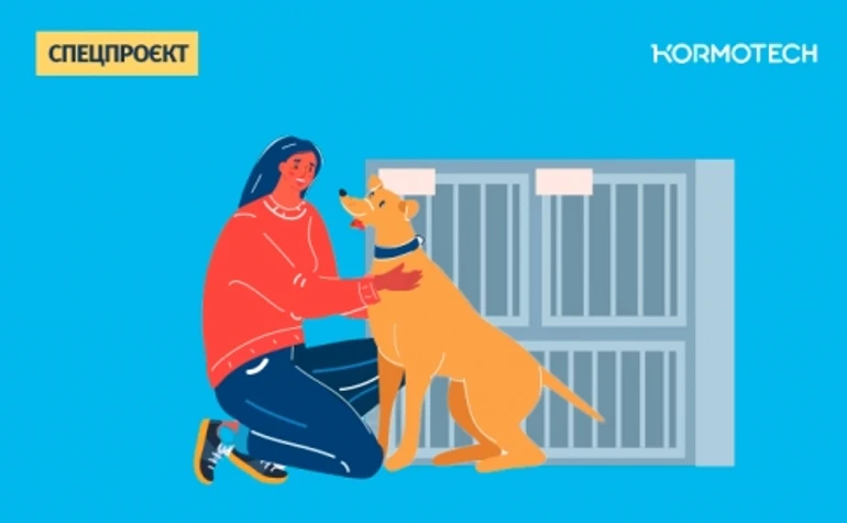 Як допомогти собакам, які потерпають від війни?