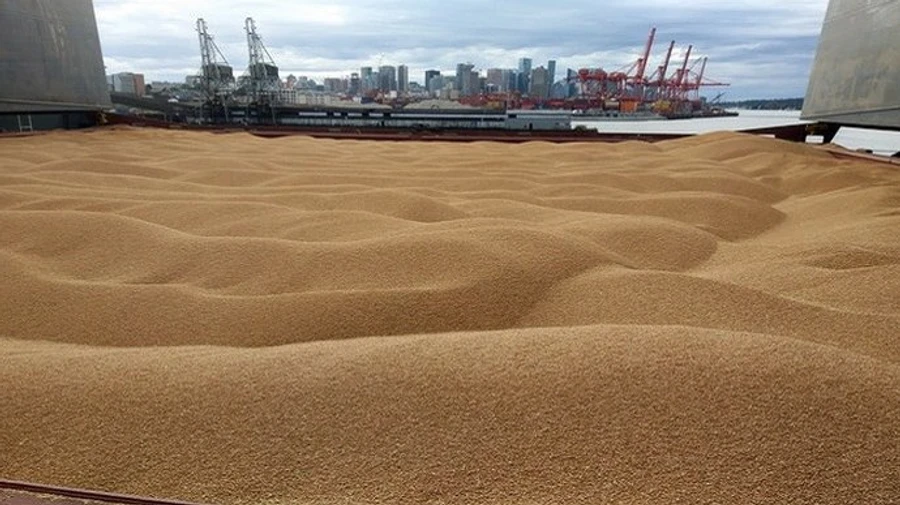Румунія може в найближчі місяці подвоїти транзит українського зерна