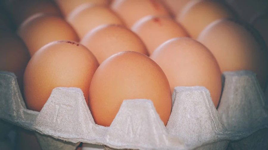 При Минобороны создали департамент, который будет бороться с коррупцией