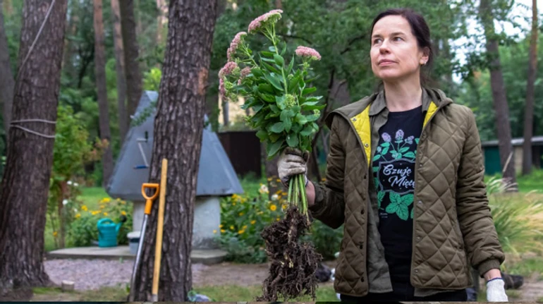 Растения – это о жизни, которая пробивается сквозь смерть. Истории восстановления Ирпеня