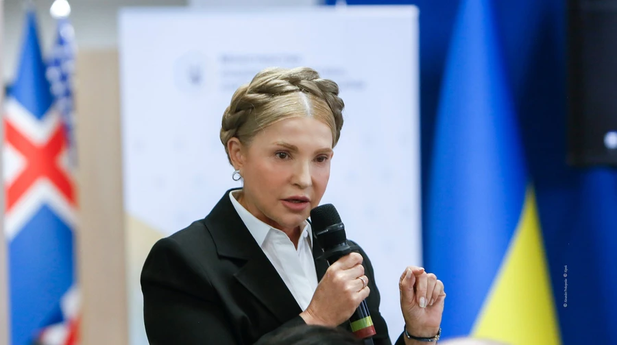 Someone started cleaning up competitors - Tymoshenko confirmed the searches, but rejects all accusations
