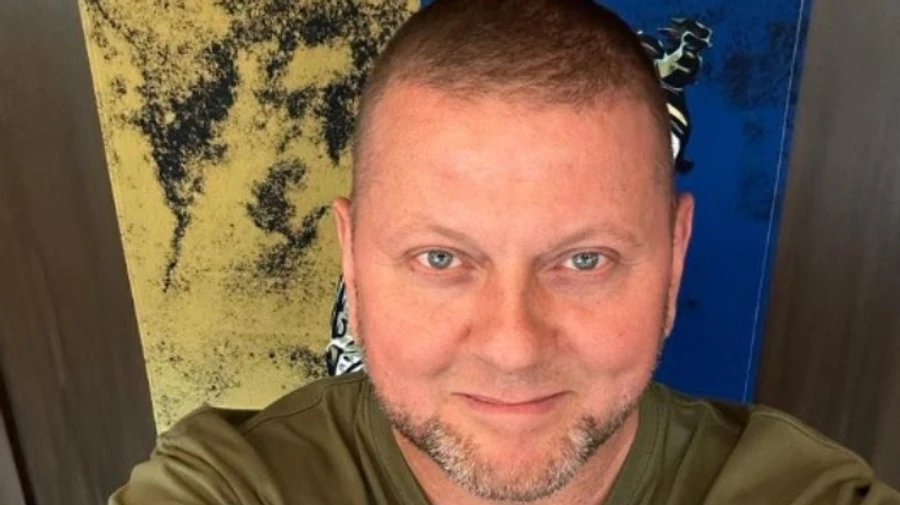 Russian Interior Ministry puts Ukrainian Commander-in-Chief on wanted list 