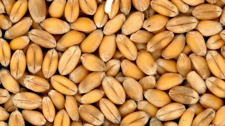 Russia claims it returns to Black Sea Grain Initiative because it received guarantees from Ukraine