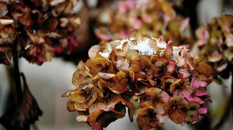 В Україну йдуть дощі і мокрий сніг