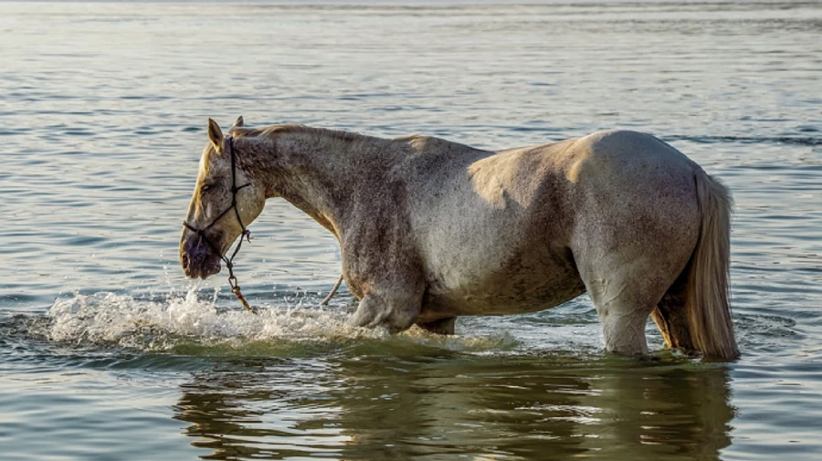 2021 год вошел в семь самых жарких за историю наблюдений - агентство ЕС