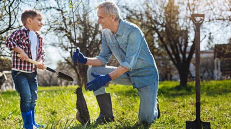 Хочете посадити дерево? 5 речей, про які треба дізнатися перед тим, як взятися за справу