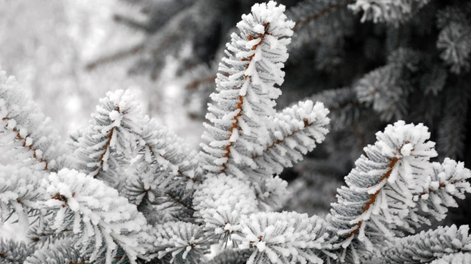 В Україну йде похолодання 